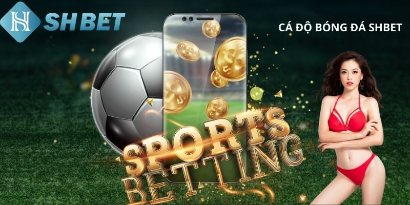 Cá Độ Bóng Đá – Nền Tảng Cá Cược An Toàn Và Hấp Dẫn